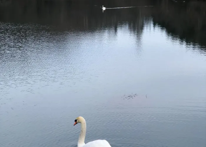 Schoenes Mit Balkon Aggertalsperre شقة